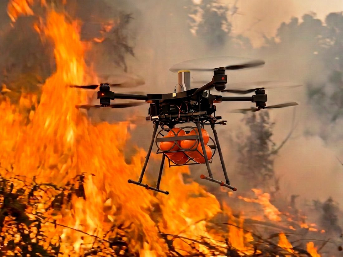 Firebreak over wildfire terrain